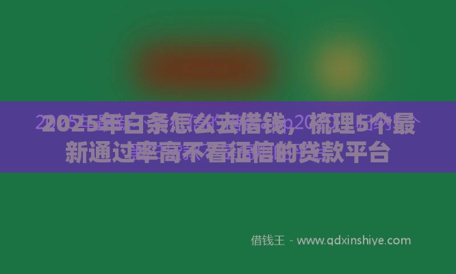2025年白条怎么去借钱,梳理5个最新通过率高不看征信的贷款平台 2025年白条怎么去借钱,梳理5个最新通过率高不看征信的贷款平台