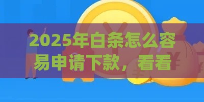 2025年白条怎么容易申请下款，看看这5个最新投资p2p网贷平台
