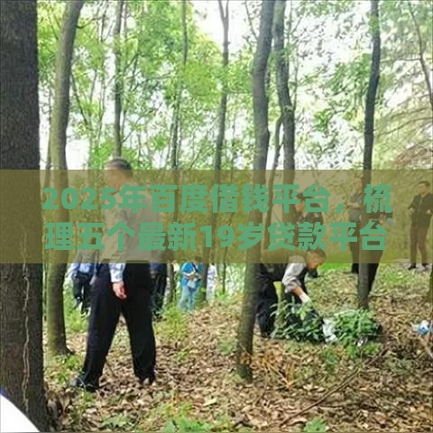 2025年百度借钱平台，梳理五个最新19岁贷款平台