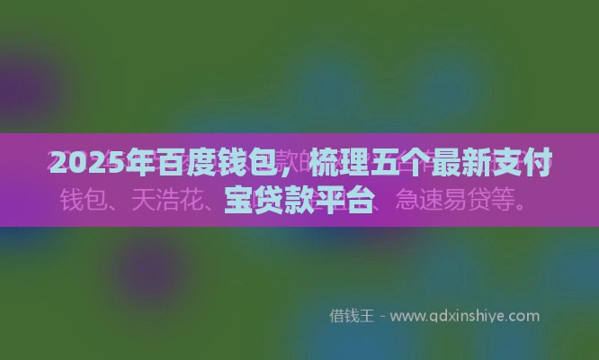 2025年百度钱包，梳理五个最新支付宝贷款平台