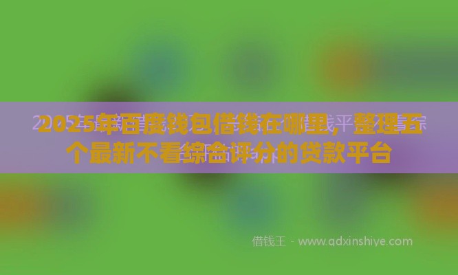 2025年百度钱包借钱在哪里，整理五个最新不看综合评分的贷款平台