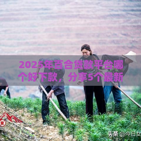 2025年百合贷款平台哪个好下款,分享5个最新好一点的贷款平台 2025年百合贷款平台哪个好下款,分享5个最新好一点的贷款平台