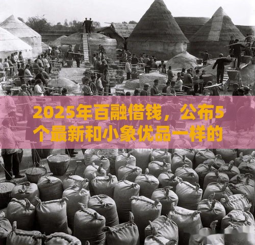 2025年百融借钱，公布5个最新和小象优品一样的平台