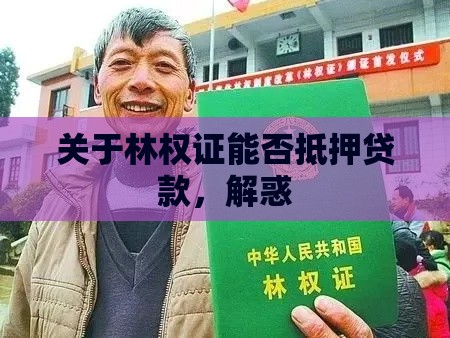 关于林权证能否抵押贷款，解惑