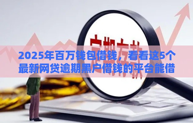 2025年百万钱包借钱，看看这5个最新网贷逾期黑户借钱的平台能借