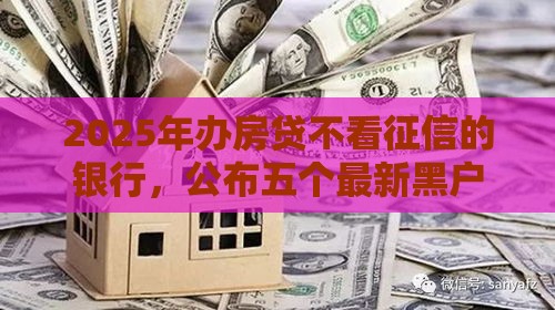 2025年办房贷不看征信的银行，公布五个最新黑户贷款平台