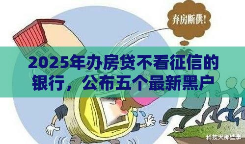 2025年办房贷不看征信的银行，公布五个最新黑户贷款平台