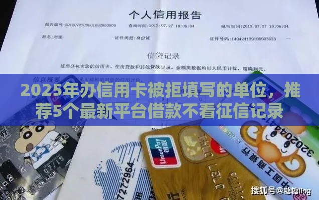 2025年办信用卡被拒填写的单位，推荐5个最新平台借款不看征信记录