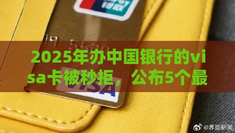 2025年办中国银行的visa卡被秒拒，公布5个最新贷款平台大全