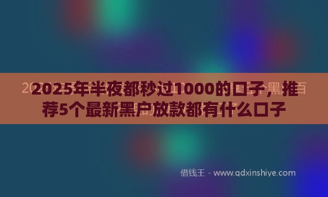 2025年半夜都秒过1000的口子，推荐5个最新黑户放款都有什么口子