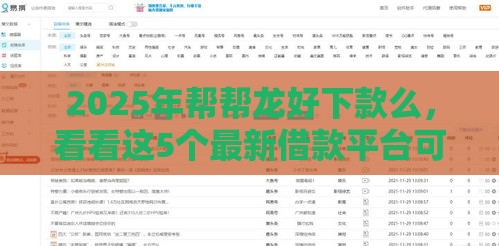 2025年帮帮龙好下款么，看看这5个最新借款平台可以借钱