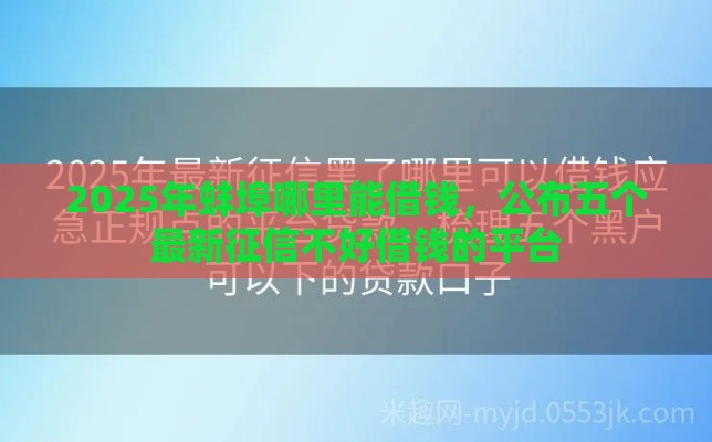 2025年蚌埠哪里能借钱，公布五个最新征信不好借钱的平台