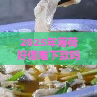 2025年薄荷好借难下款吗，看看这5个最新重庆网贷平台