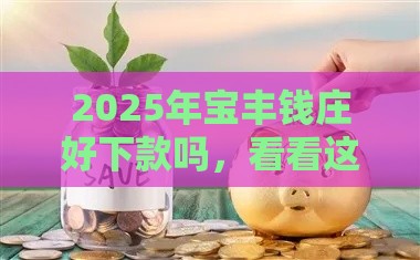 2025年宝丰钱庄好下款吗，看看这五个最新最好的贷款平台