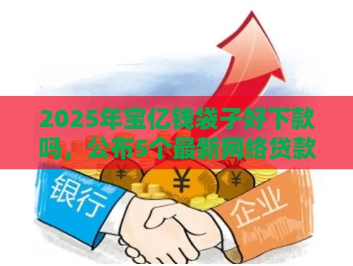 2025年宝亿钱袋子好下款吗，公布5个最新网络贷款平台排名不分先后