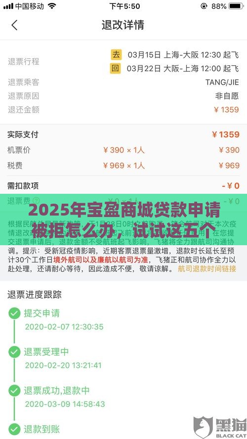 2025年宝盈商城贷款申请被拒怎么办，试试这五个最新2025有呆账能下款的口子