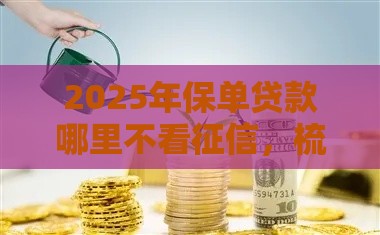 2025年保单贷款哪里不看征信，梳理5个最新黑户可以借款的小额平台