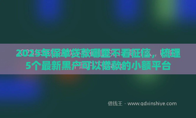2025年保单贷款哪里不看征信，梳理5个最新黑户可以借款的小额平台