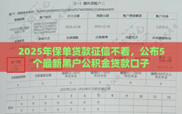 2025年保单贷款征信不看,公布5个最新黑户公积金贷款口子 2025年保单贷款征信不看,公布5个最新黑户公积金贷款口子