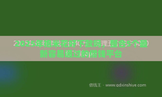 2025年抱米花好下款吗，整合5个最新容易通过的借钱平台