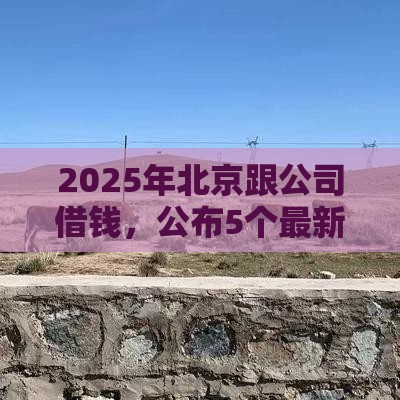 2025年北京跟公司借钱，公布5个最新贷款平台小额贷款