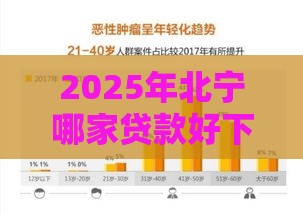 2025年北宁哪家贷款好下款多，梳理五个最新高炮贷款平台