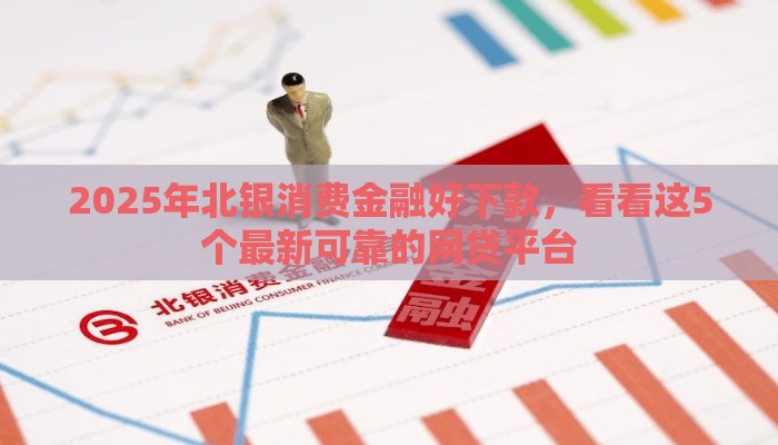 2025年北银消费金融好下款，看看这5个最新可靠的网贷平台