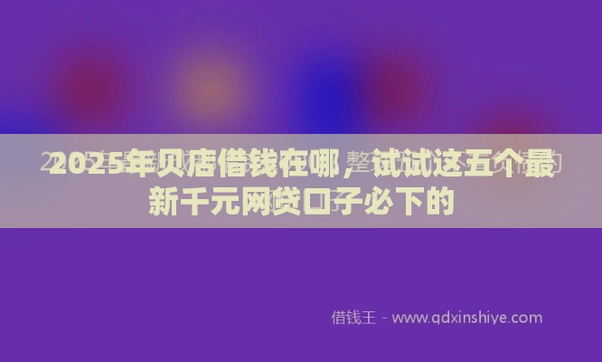 2025年贝店借钱在哪，试试这五个最新千元网贷口子必下的