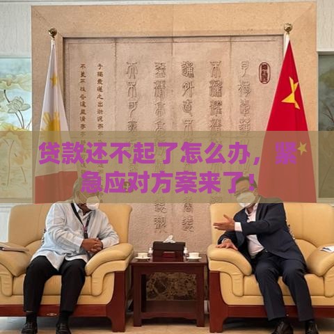 贷款还不起了怎么办，紧急应对方案来了！