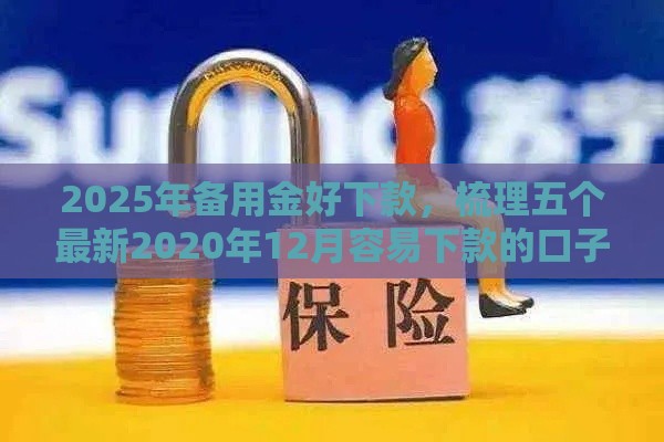 2025年备用金好下款，梳理五个最新2020年12月容易下款的口子