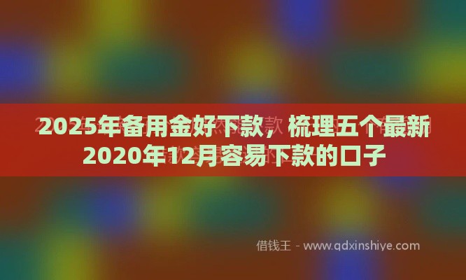 2025年备用金好下款，梳理五个最新2020年12月容易下款的口子