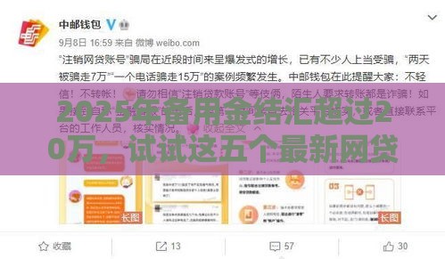 2025年备用金结汇超过20万，试试这五个最新网贷平台怎么推广