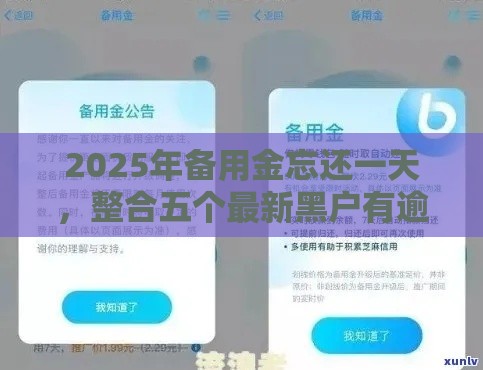 2025年备用金忘还一天，整合五个最新黑户有逾期也能必过的口子