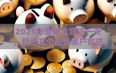 2025年备用金忘还一天，整合五个最新黑户有逾期也能必过的口子