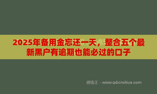 2025年备用金忘还一天，整合五个最新黑户有逾期也能必过的口子