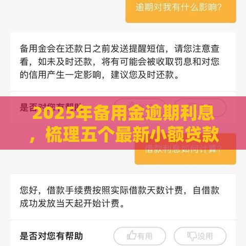2025年备用金逾期利息，梳理五个最新小额贷款平台排名不分先后
