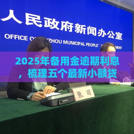 2025年备用金逾期利息，梳理五个最新小额贷款平台排名不分先后