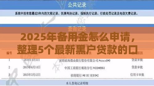 2025年备用金怎么申请，整理5个最新黑户贷款的口子必下