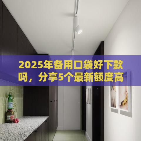 2025年备用口袋好下款吗，分享5个最新额度高容易通过的平台