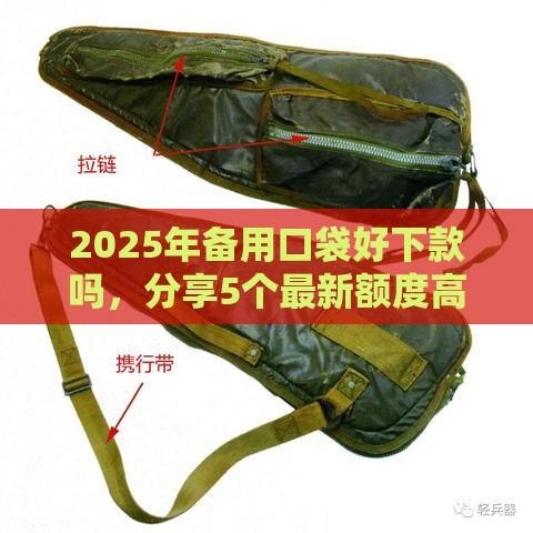 2025年备用口袋好下款吗，分享5个最新额度高容易通过的平台