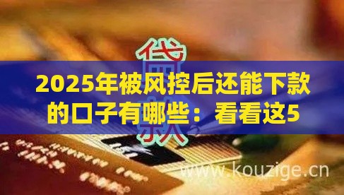 2025年被风控后还能下款的口子有哪些:看看这5个2025热门现在贷款平台好 2025年被风控后还能下款的口子有哪些:看看这5个2025热门现在贷款平台好