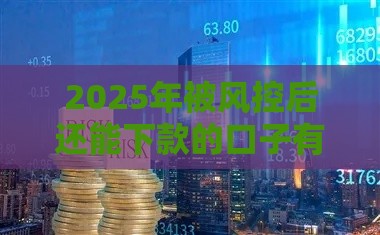 2025年被风控后还能下款的口子有哪些:看看这5个2025热门现在贷款平台好 2025年被风控后还能下款的口子有哪些:看看这5个2025热门现在贷款平台好