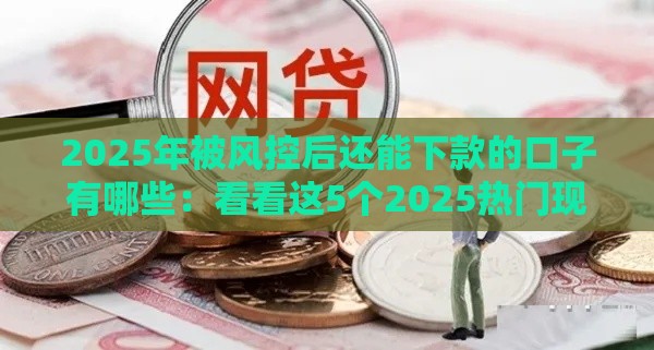 2025年被风控后还能下款的口子有哪些:看看这5个2025热门现在贷款平台好 2025年被风控后还能下款的口子有哪些:看看这5个2025热门现在贷款平台好