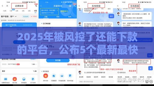 2025年被风控了还能下款的平台，公布5个最新最快的借钱平台是什么