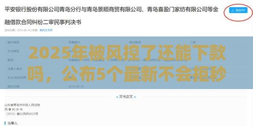 2025年被风控了还能下款吗，公布5个最新不会拒秒下款的高炮口子