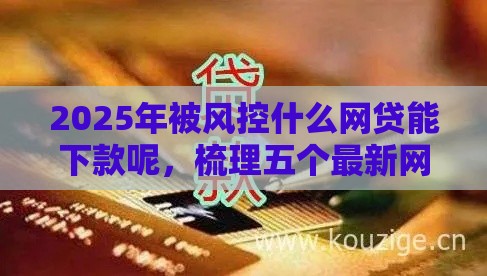 2025年被风控什么网贷能下款呢，梳理五个最新网贷举报平台