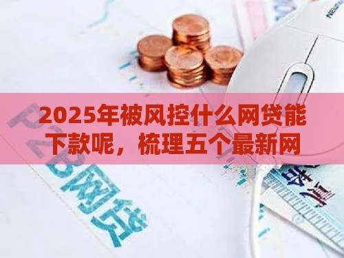 2025年被风控什么网贷能下款呢，梳理五个最新网贷举报平台