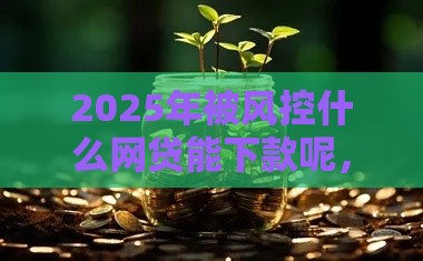 2025年被风控什么网贷能下款呢，梳理五个最新网贷举报平台