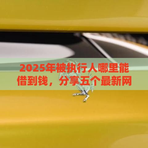 2025年被执行人哪里能借到钱，分享五个最新网上平台借钱不还会怎样