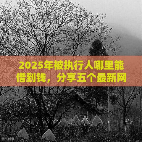 2025年被执行人哪里能借到钱，分享五个最新网上平台借钱不还会怎样